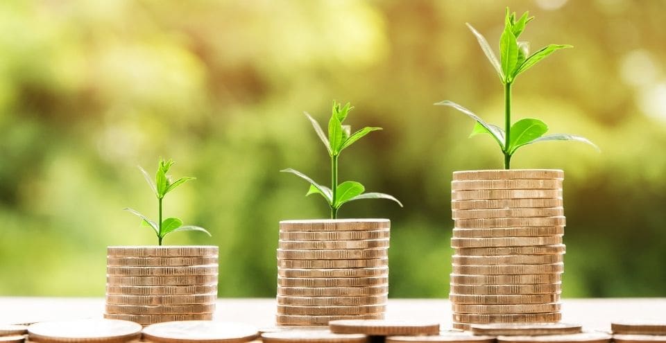 6 ways to make money with homestays