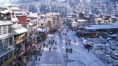 Top 5 Best Cottage in Manali