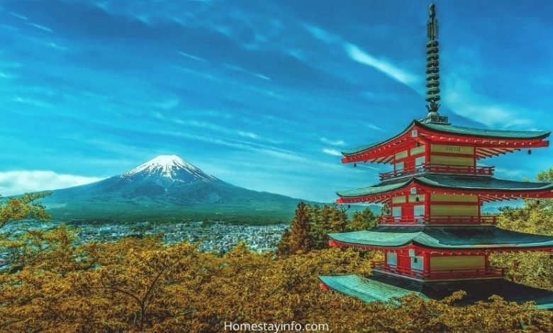 Best Homestays in Japan