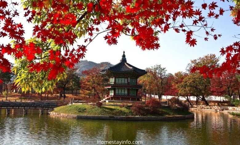 Best Homestays in Korea