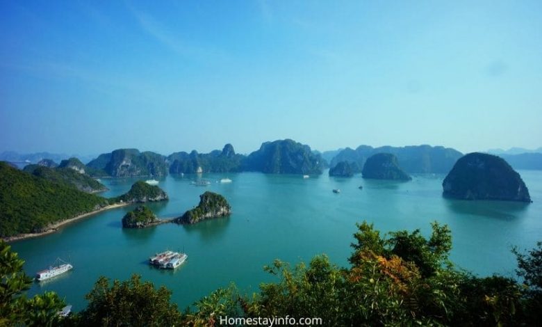 Best Homestays in Vietnam