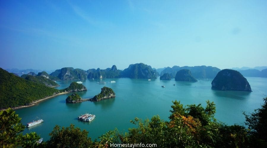 Best Homestays in Vietnam