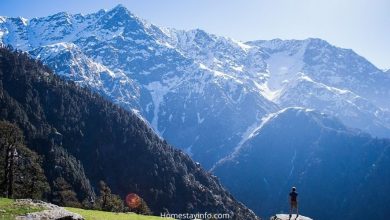 Best Homestays in Mcleodganj