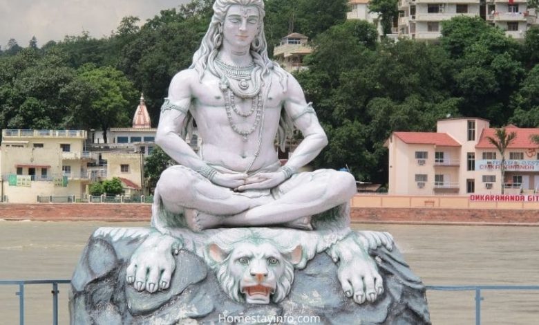 Best Riverside Homestays In Rishikesh