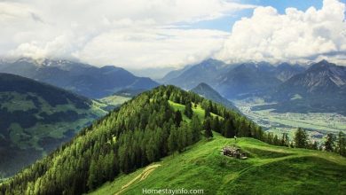 How to start a homestay business in the hill