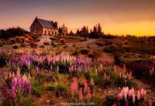 How to Start a Holiday Cottage Business