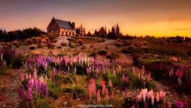 How to Start a Holiday Cottage Business