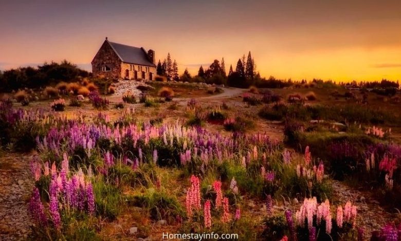 How to Start a Holiday Cottage Business