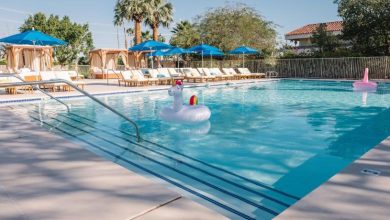 Best Places to Stay in Palm Springs