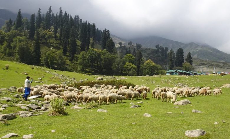 Best Rated Place To Stay In Gulmarg India