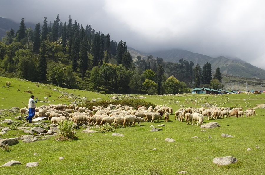 Best Rated Place To Stay In Gulmarg India