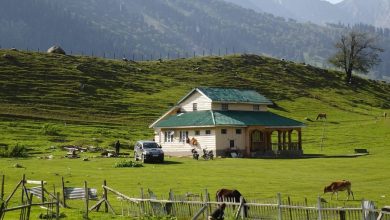 Best Rated Place To Stay In Sonmarg India